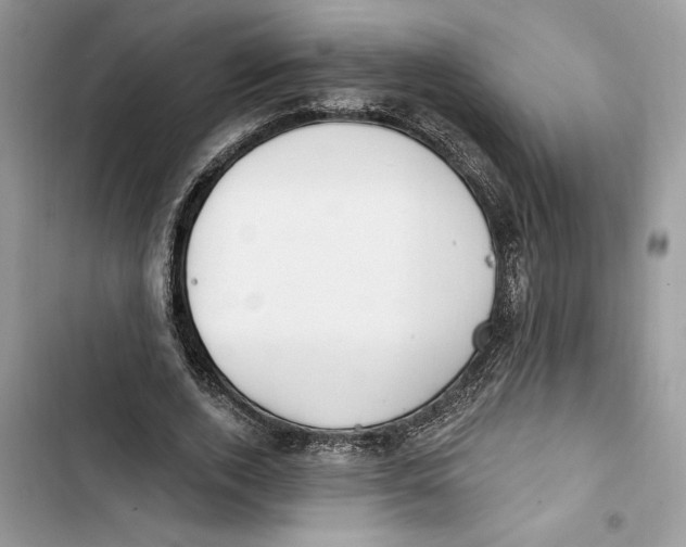 X0000103400728200810031224