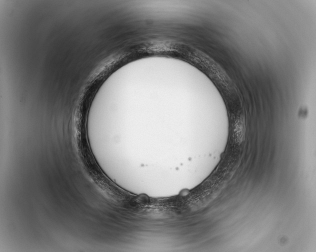 X0000103400732200810031224