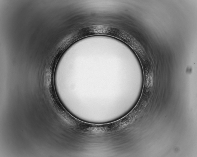 X0000103400733200810031224