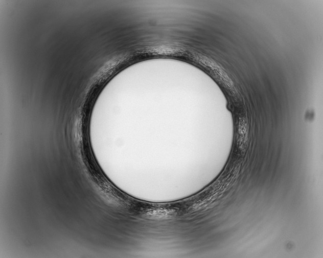 X0000103400734200810031224