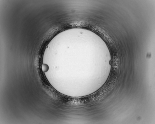 X0000103400738200810031224