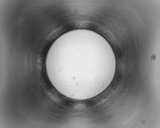 X0000103400741200810031224