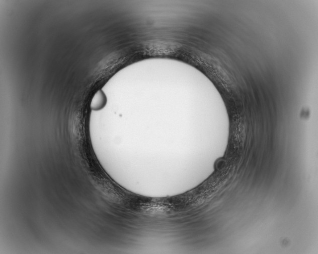 X0000103400743200810031224