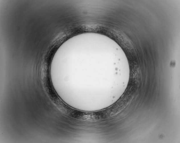 X0000103400744200810031224