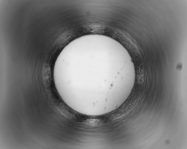 X0000103400748200810031224