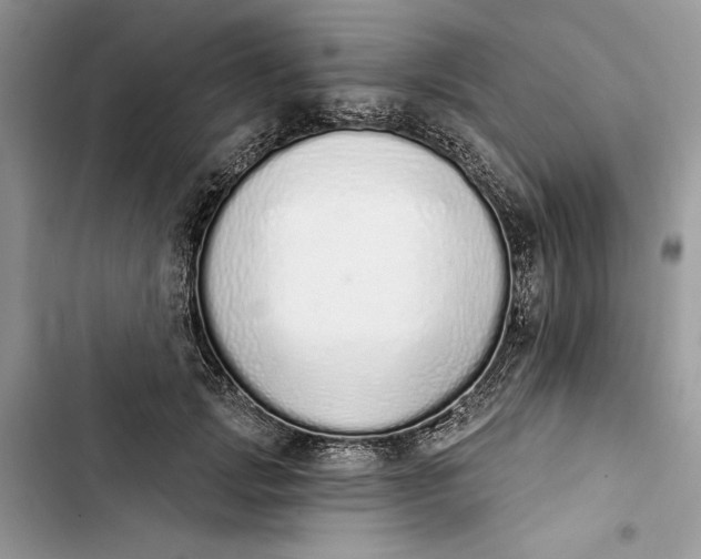 X0000103400749200810031224