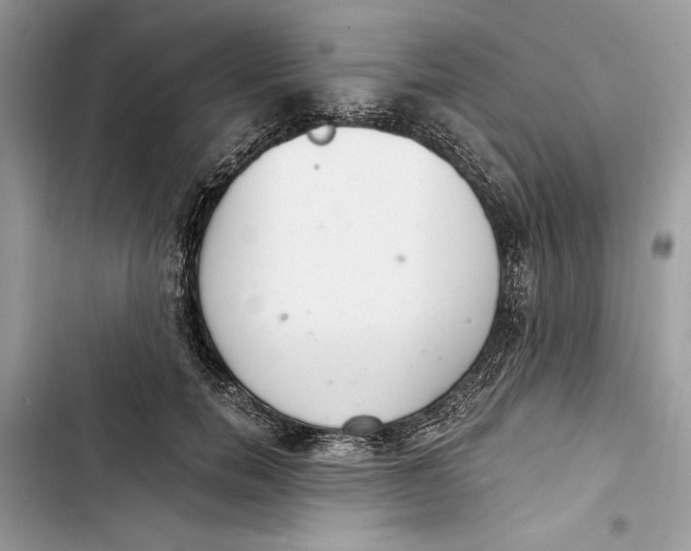 X0000103400750200810031224