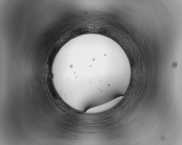 X0000103400752200810031224