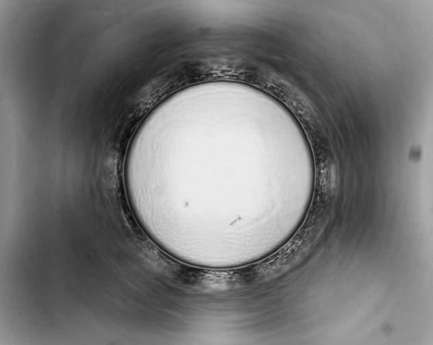 X0000103400757200810031224