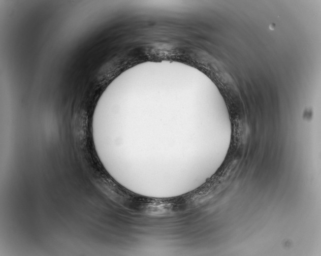 X0000103400760200810031224