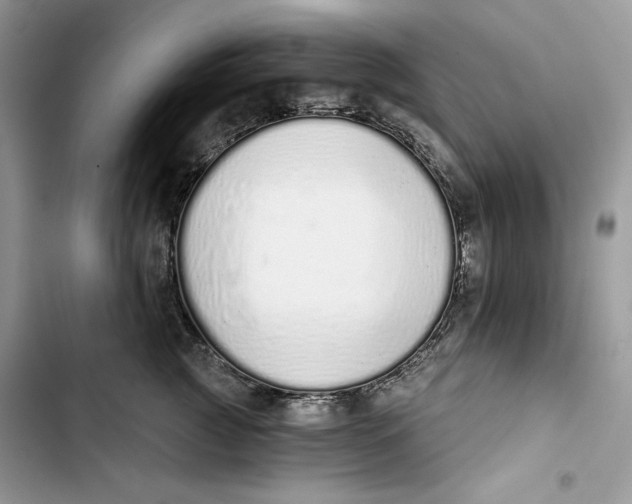 X0000103400761200810031224