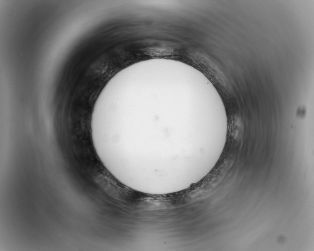 X0000103400763200810031224