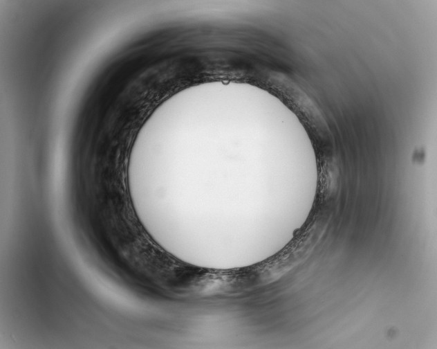 X0000103400764200810031224