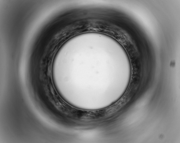 X0000103400765200810031224