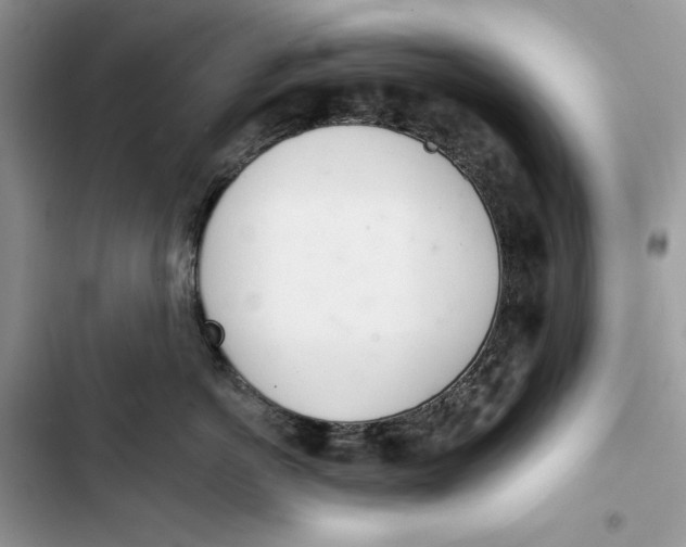 X0000103400766200810031224