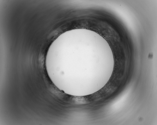 X0000103400767200810031224