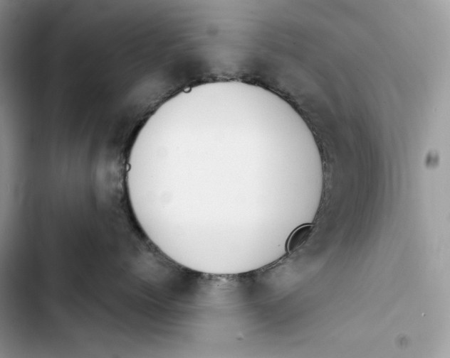 X0000103400768200810031224