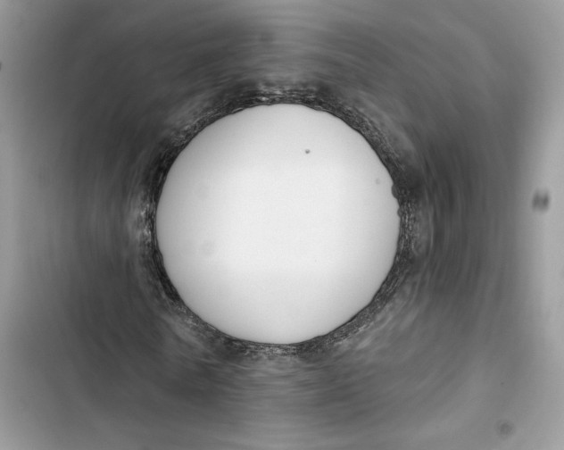 X0000103400770200810031224