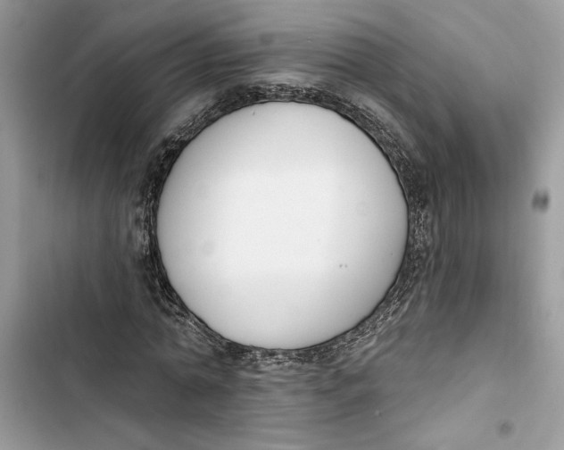 X0000103400774200810031224