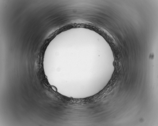 X0000103400775200810031224