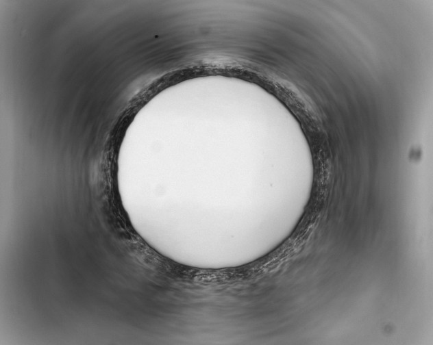 X0000103400776200810031224