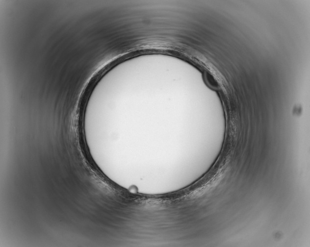 X0000103400779200810031223