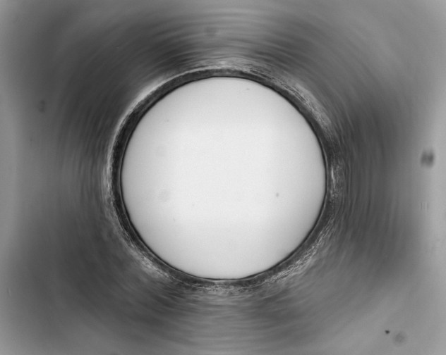 X0000103400780200810031223