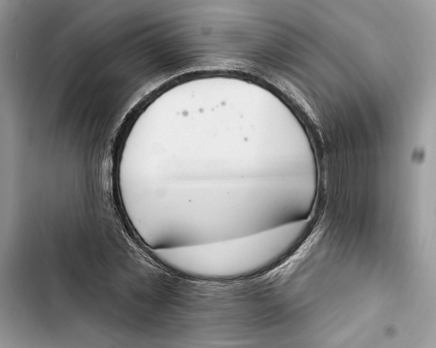 X0000103400781200810031223