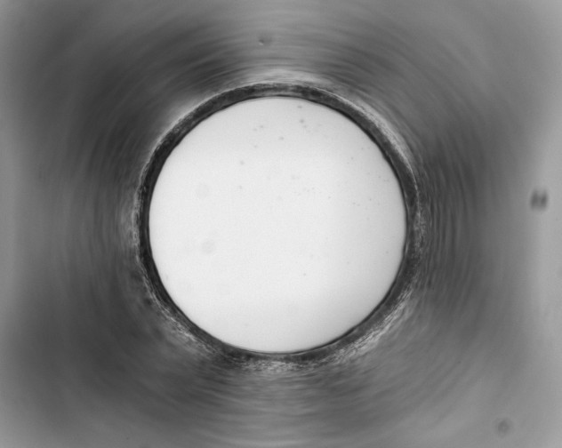 X0000103400783200810031223