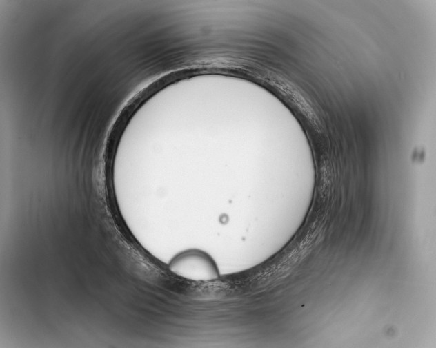 X0000103400784200810031223