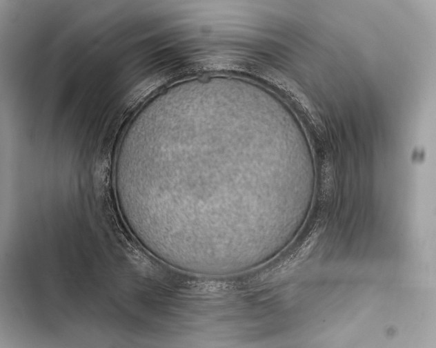 X0000103400785200810031223