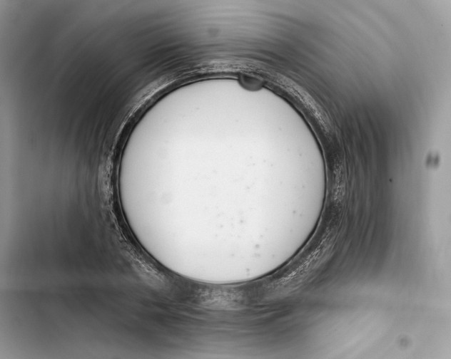 X0000103400786200810031223