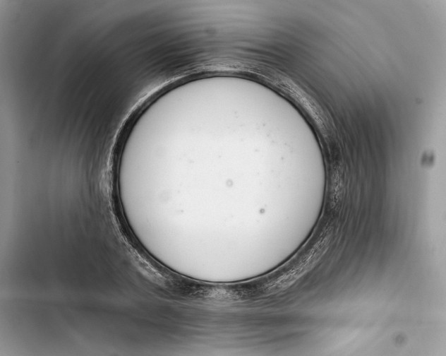 X0000103400787200810031223