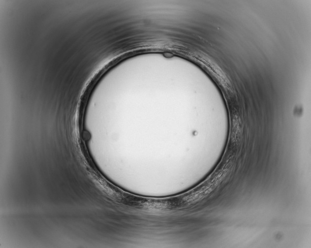 X0000103400788200810031223