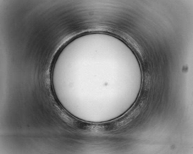 X0000103400789200810031223