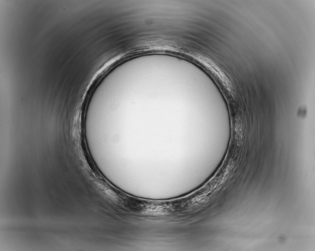 X0000103400790200810031223