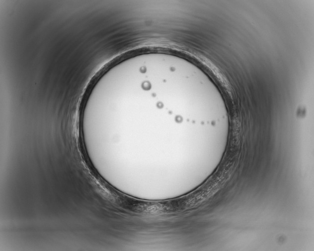 X0000103400791200810031223