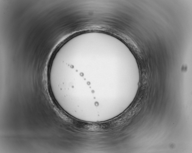 X0000103400792200810031223