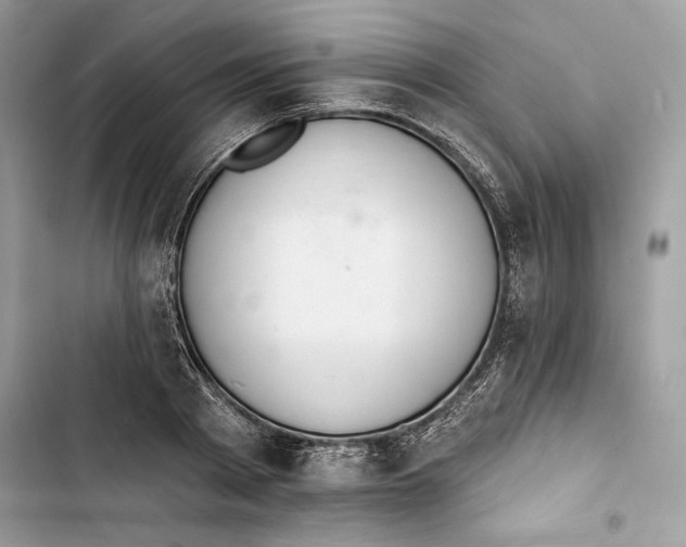 X0000103400793200810031223