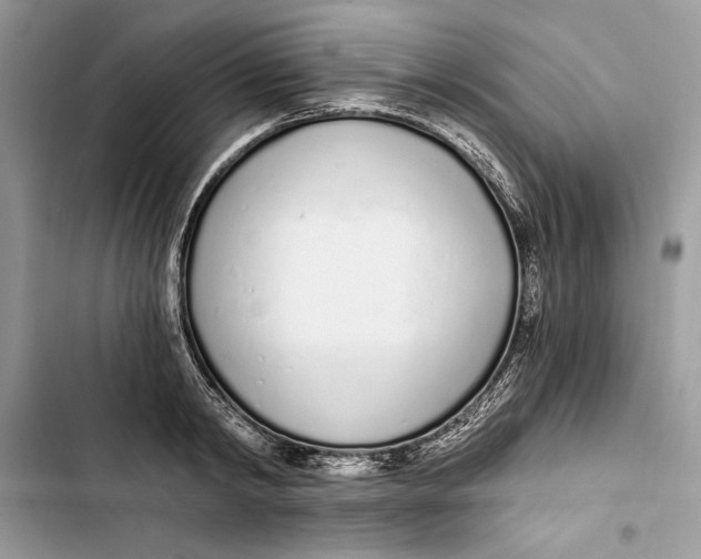 X0000103400798200810031223