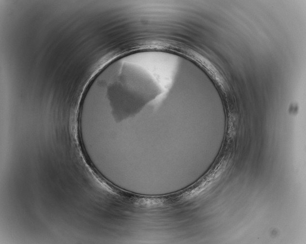 X0000103400802200810031223