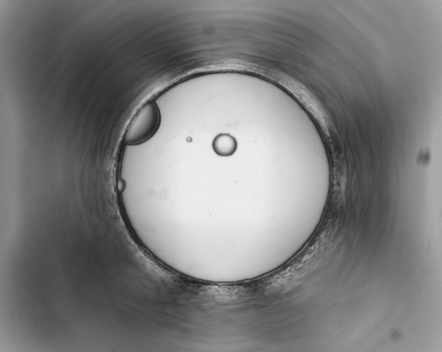 X0000103400805200810031223