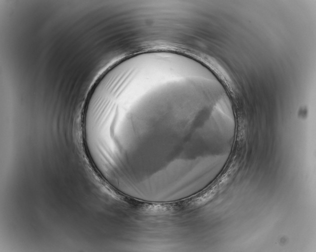 X0000103400806200810031223