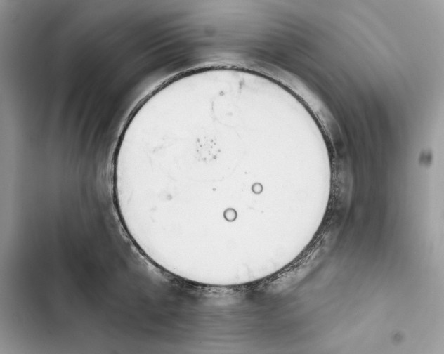 X0000103400807200810031223