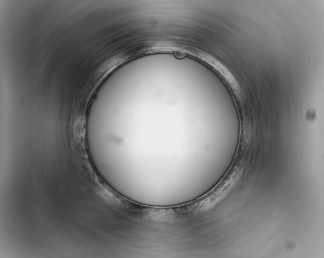 X0000103400809200810031223