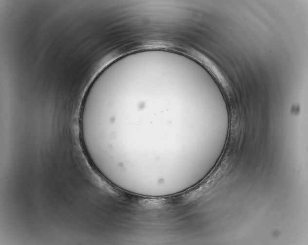 X0000103400810200810031223