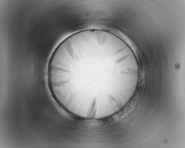 X0000103400811200810031223