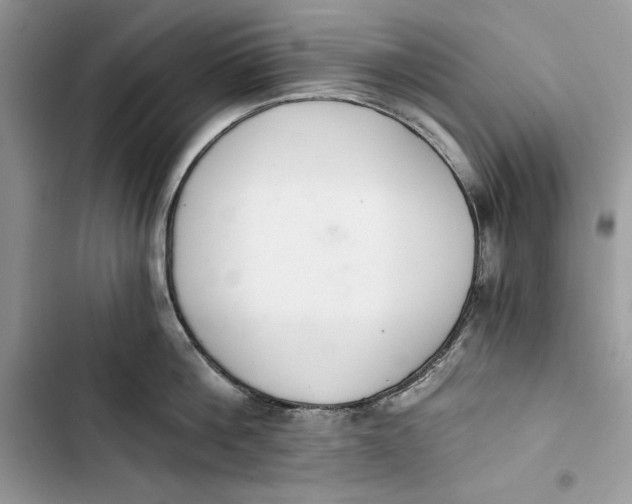 X0000103400812200810031223