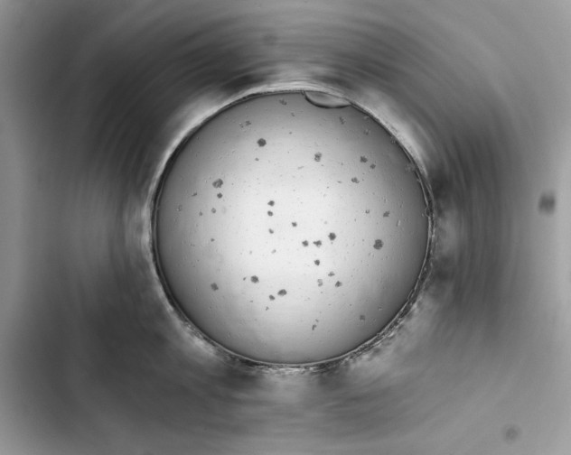 X0000103400813200810031223