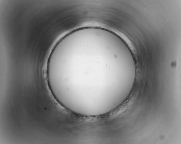 X0000103400815200810031223